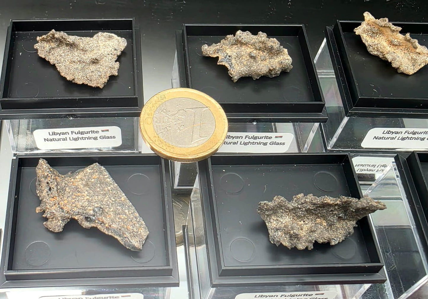 Small Fulgurite Collector Specimen in Display Case - Petrified Lightning Stone Glass from Algeria Desert