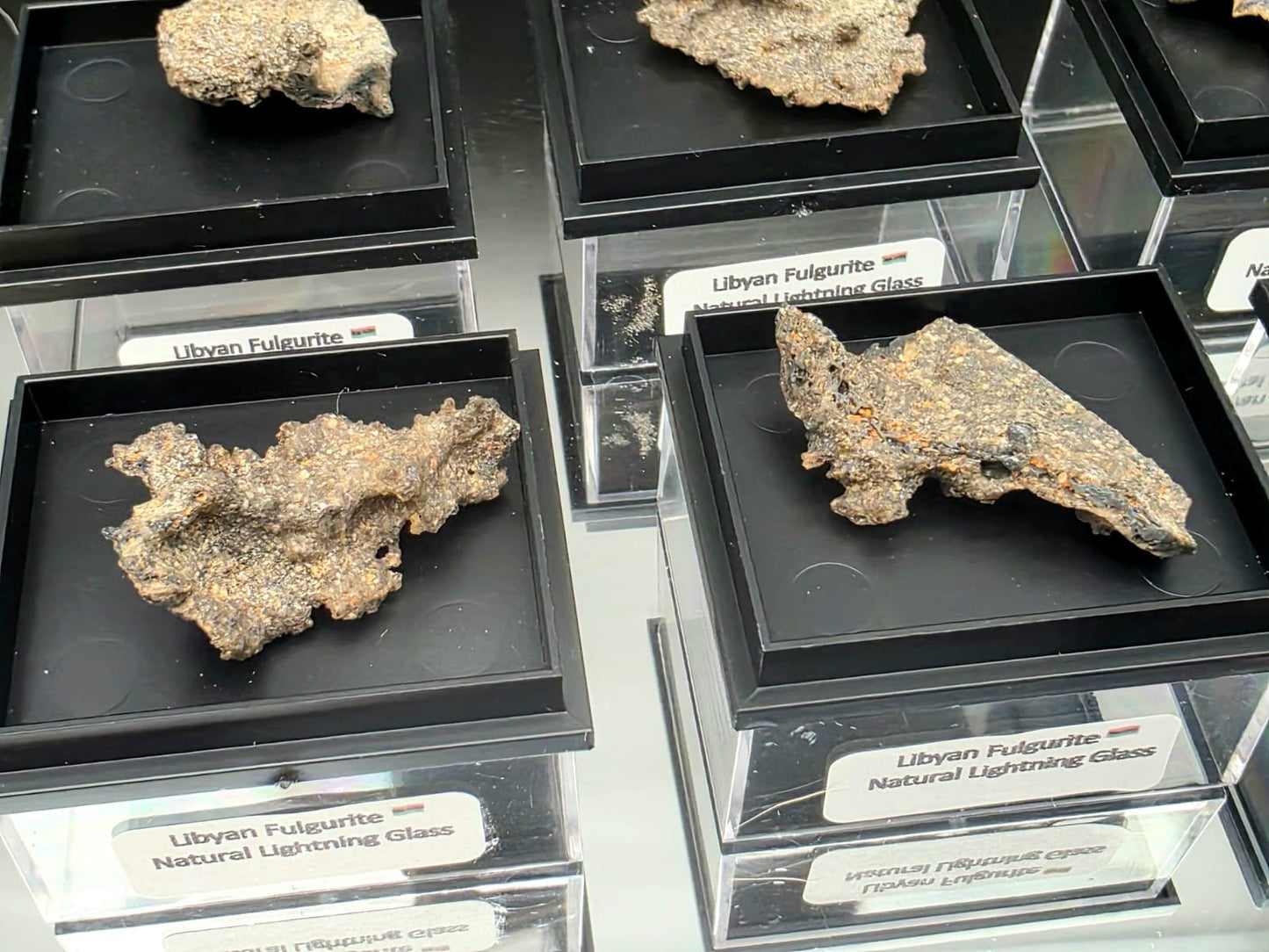 Small Fulgurite Collector Specimen in Display Case - Petrified Lightning Stone Glass from Algeria Desert