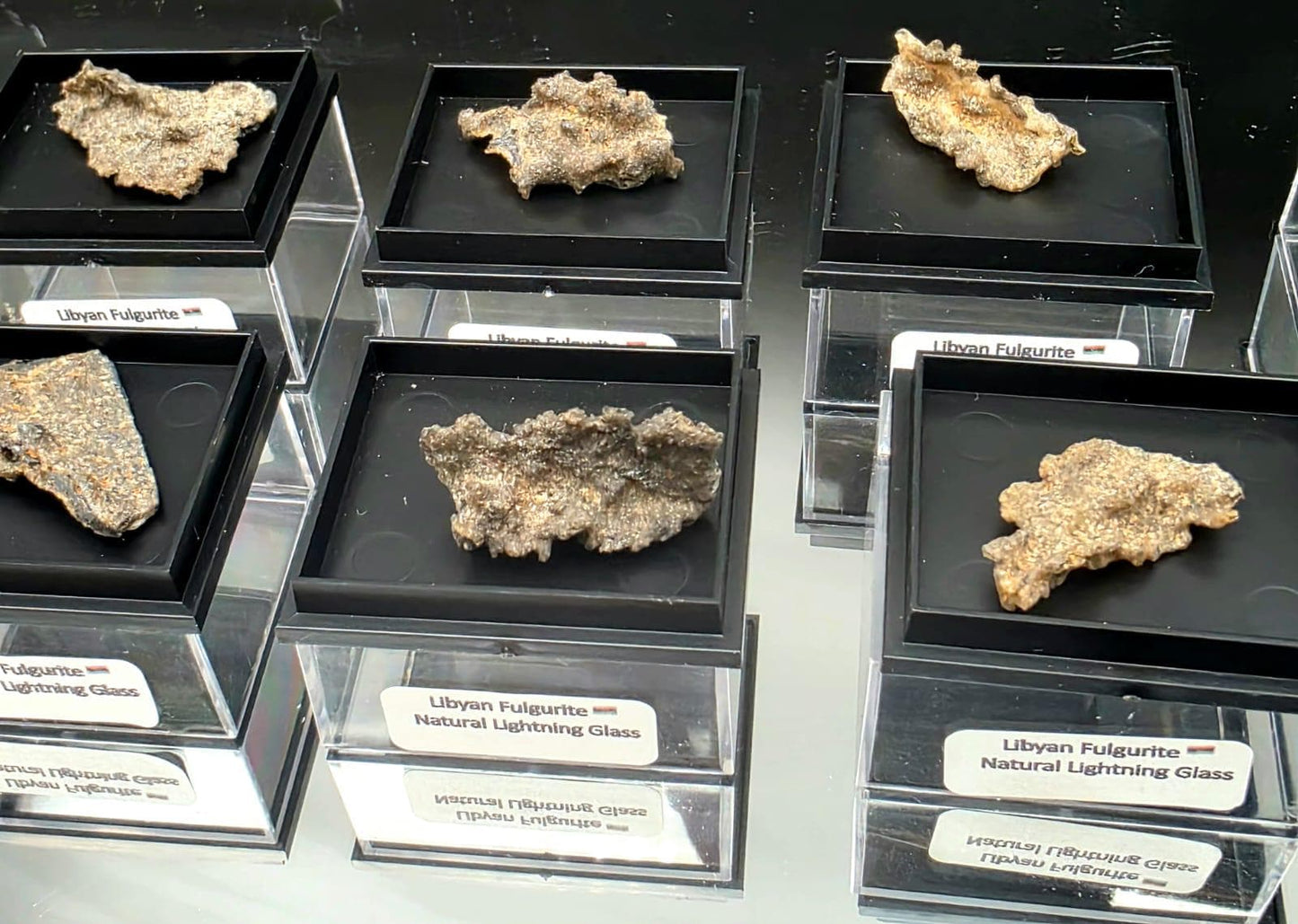 Small Fulgurite Collector Specimen in Display Case - Petrified Lightning Stone Glass from Algeria Desert