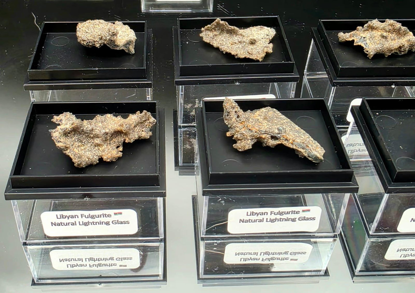 Small Fulgurite Collector Specimen in Display Case - Petrified Lightning Stone Glass from Algeria Desert
