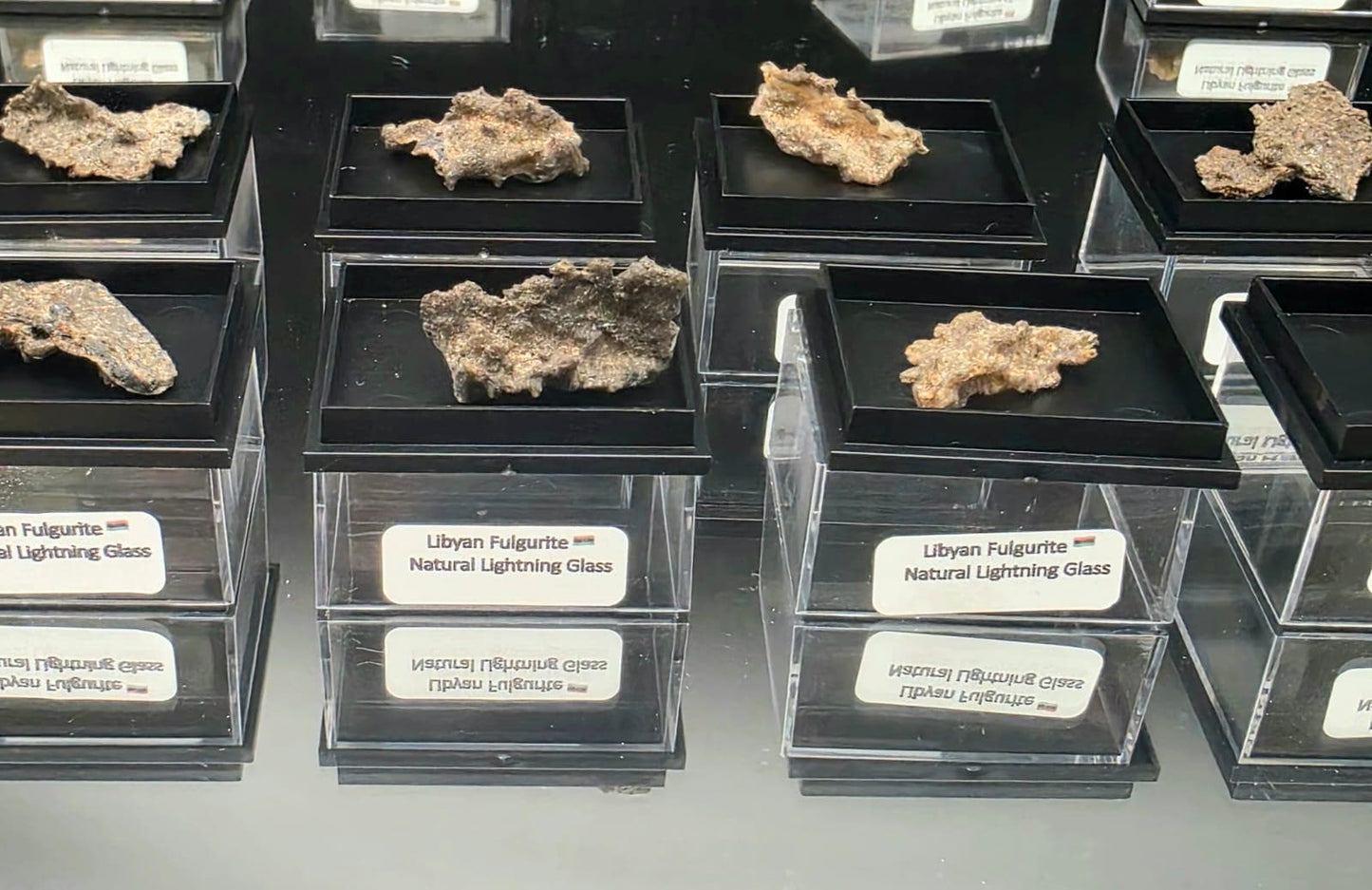 Small Fulgurite Collector Specimen in Display Case - Petrified Lightning Stone Glass from Algeria Desert