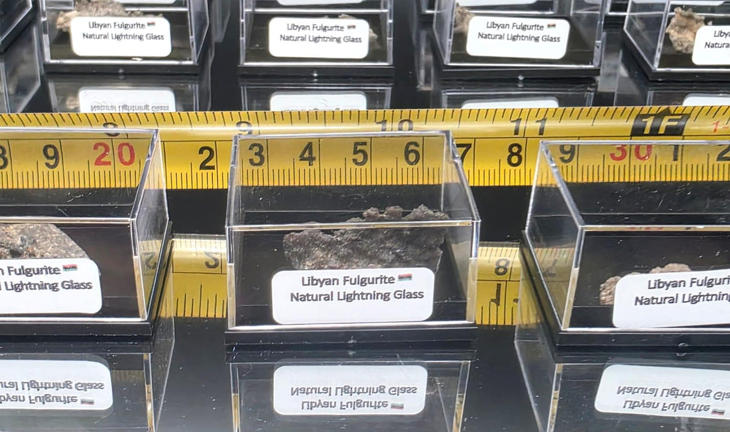 Small Fulgurite Collector Specimen in Display Case - Petrified Lightning Stone Glass from Algeria Desert