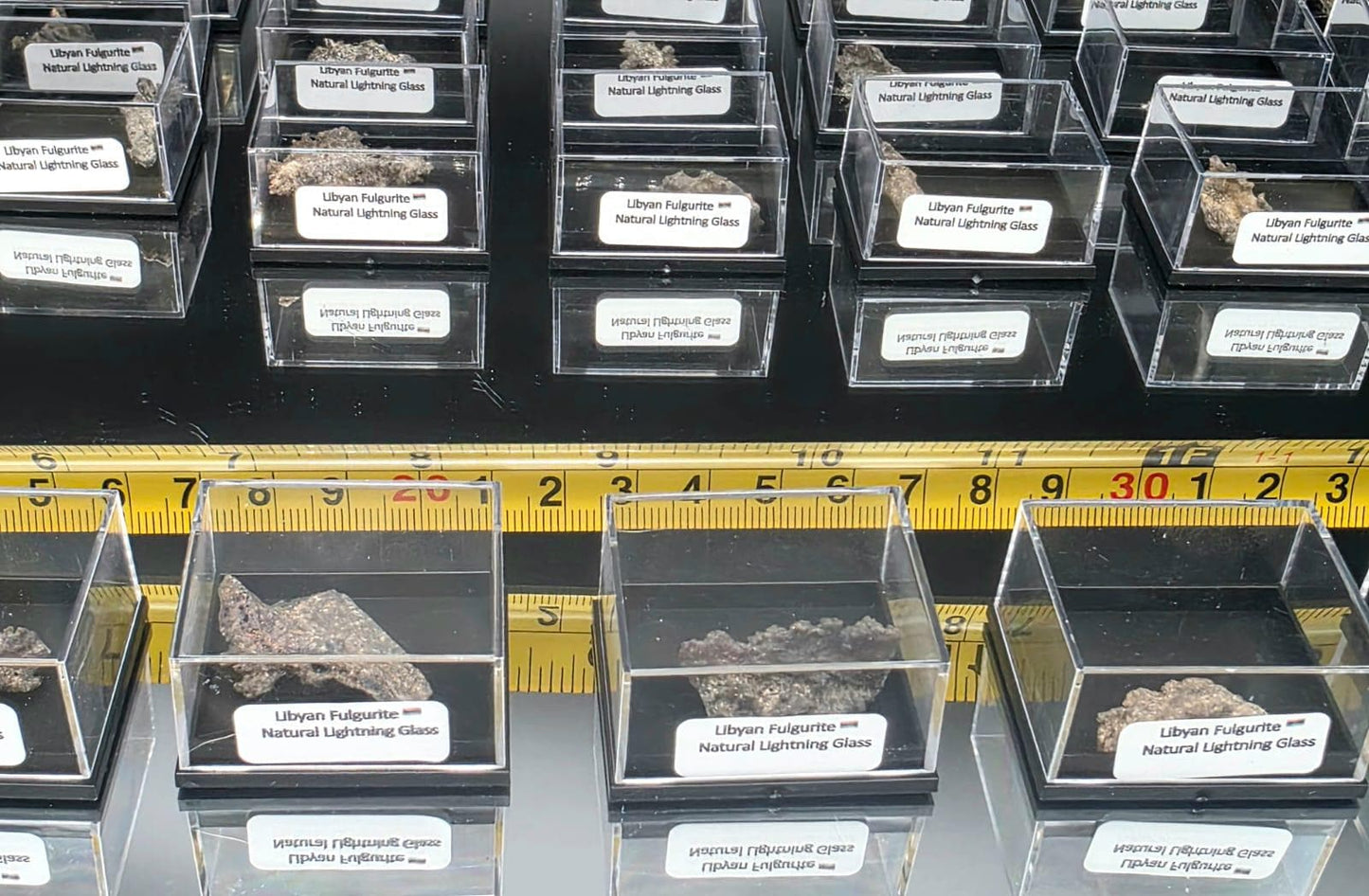 Small Fulgurite Collector Specimen in Display Case - Petrified Lightning Stone Glass from Algeria Desert