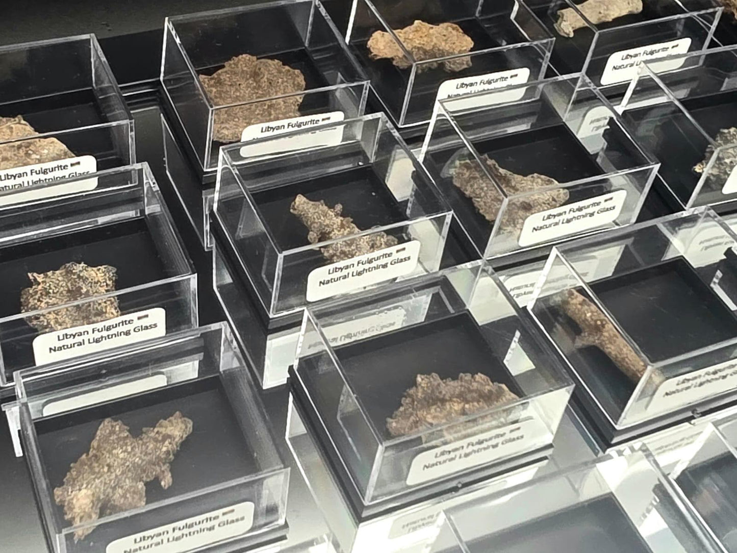 Small Fulgurite Collector Specimen in Display Case - Petrified Lightning Stone Glass from Algeria Desert
