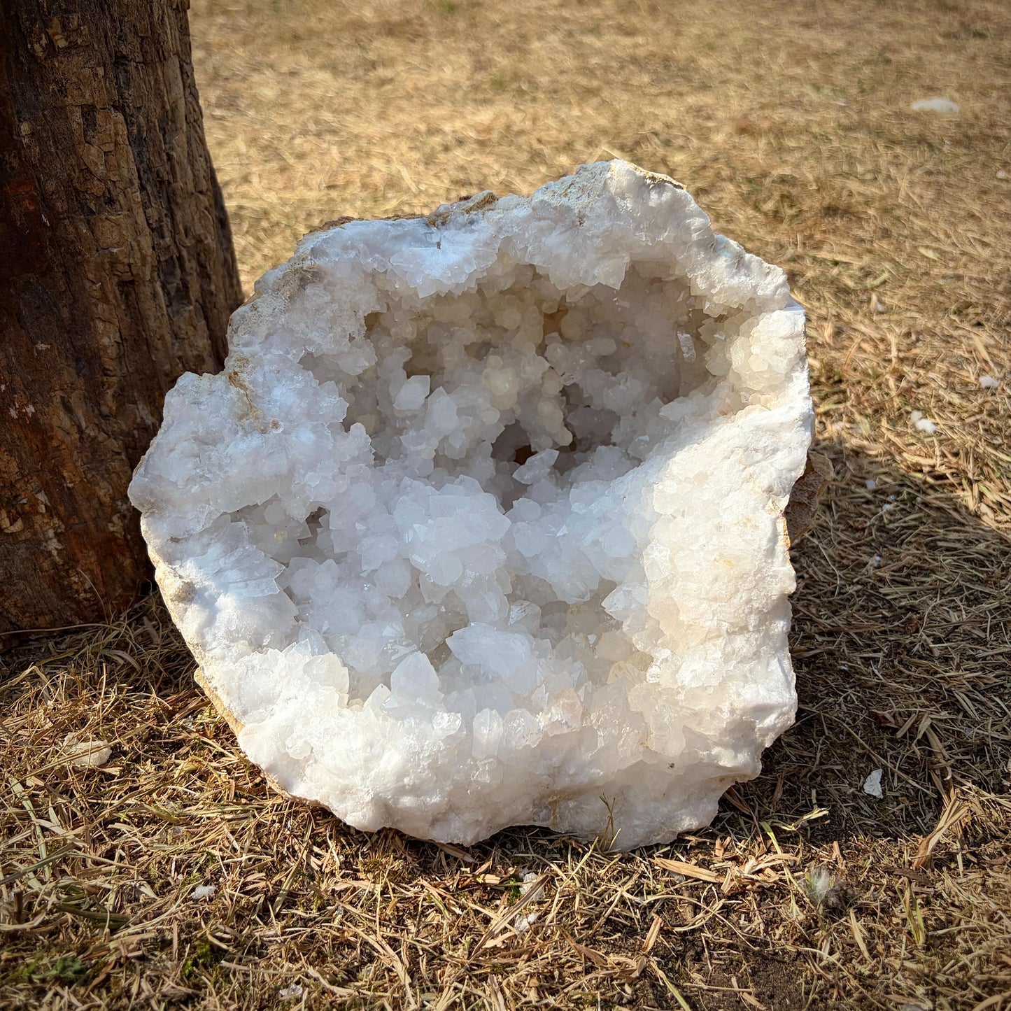 XL Quartz Crystal Geode Pair 15.2kg #13