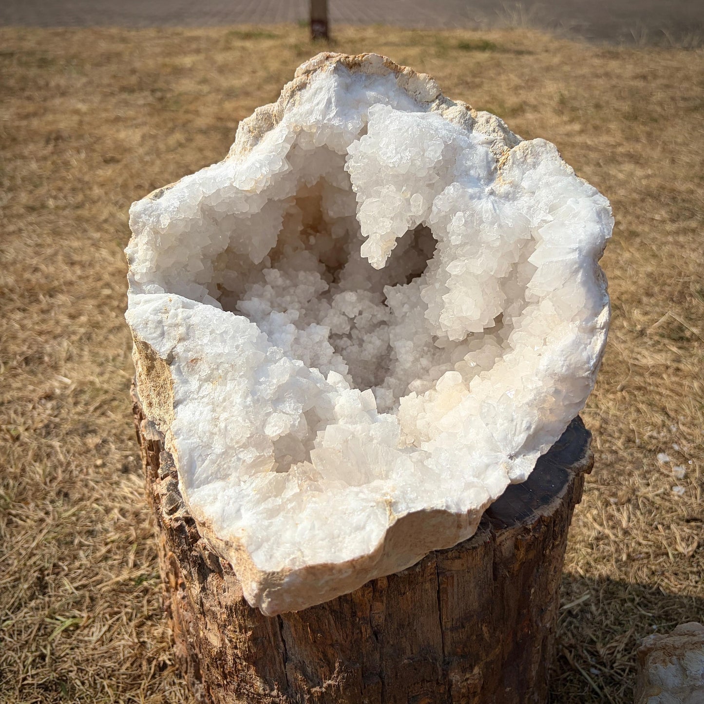 XL Quartz Crystal Geode Pair 15.2kg #13