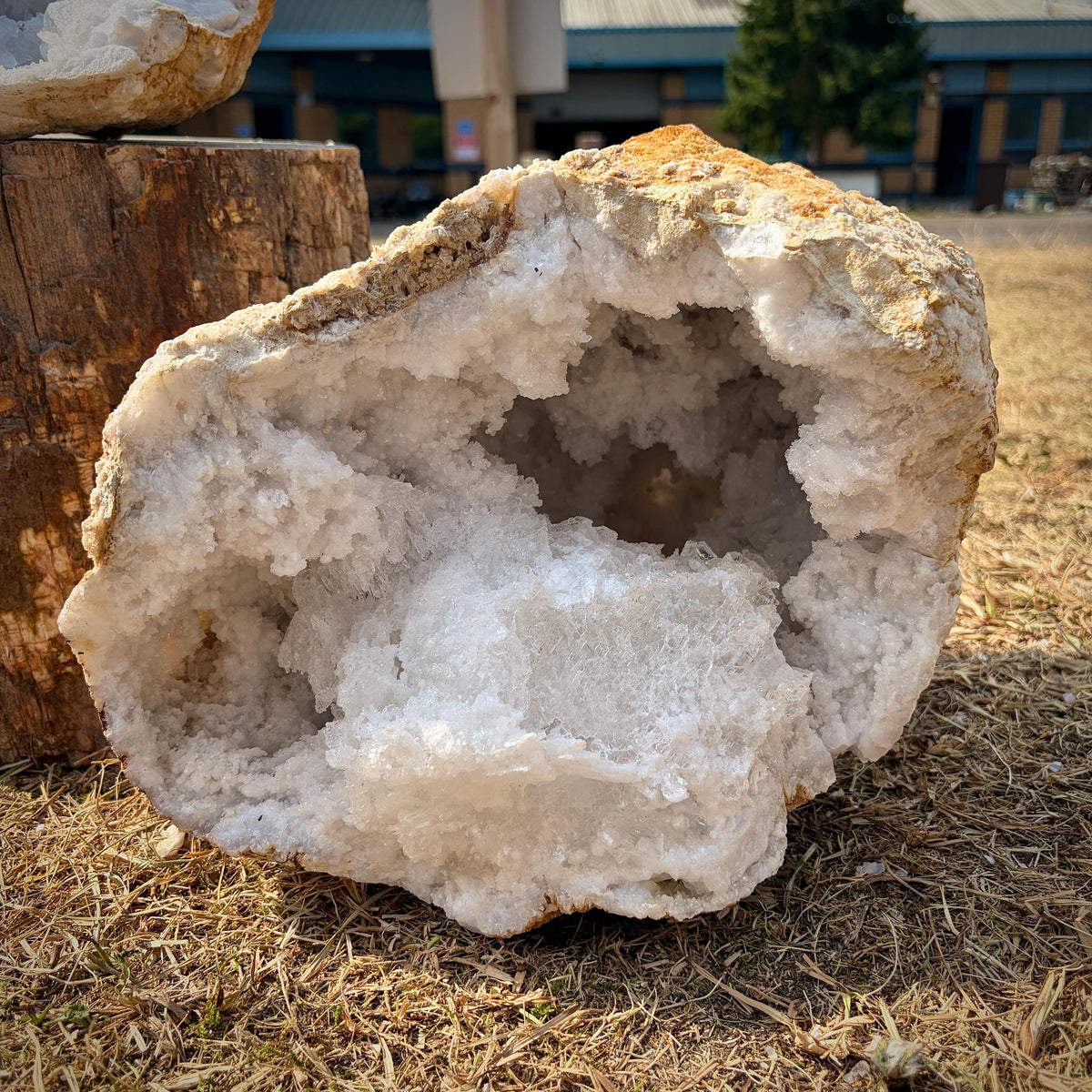XL Quartz & Selenite Crystal Geode Pair 16kg #11