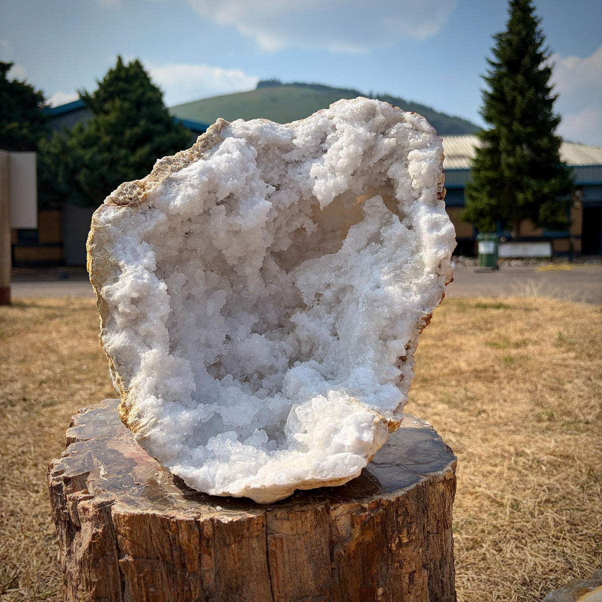 XL Quartz & Selenite Crystal Geode Pair 16kg #11