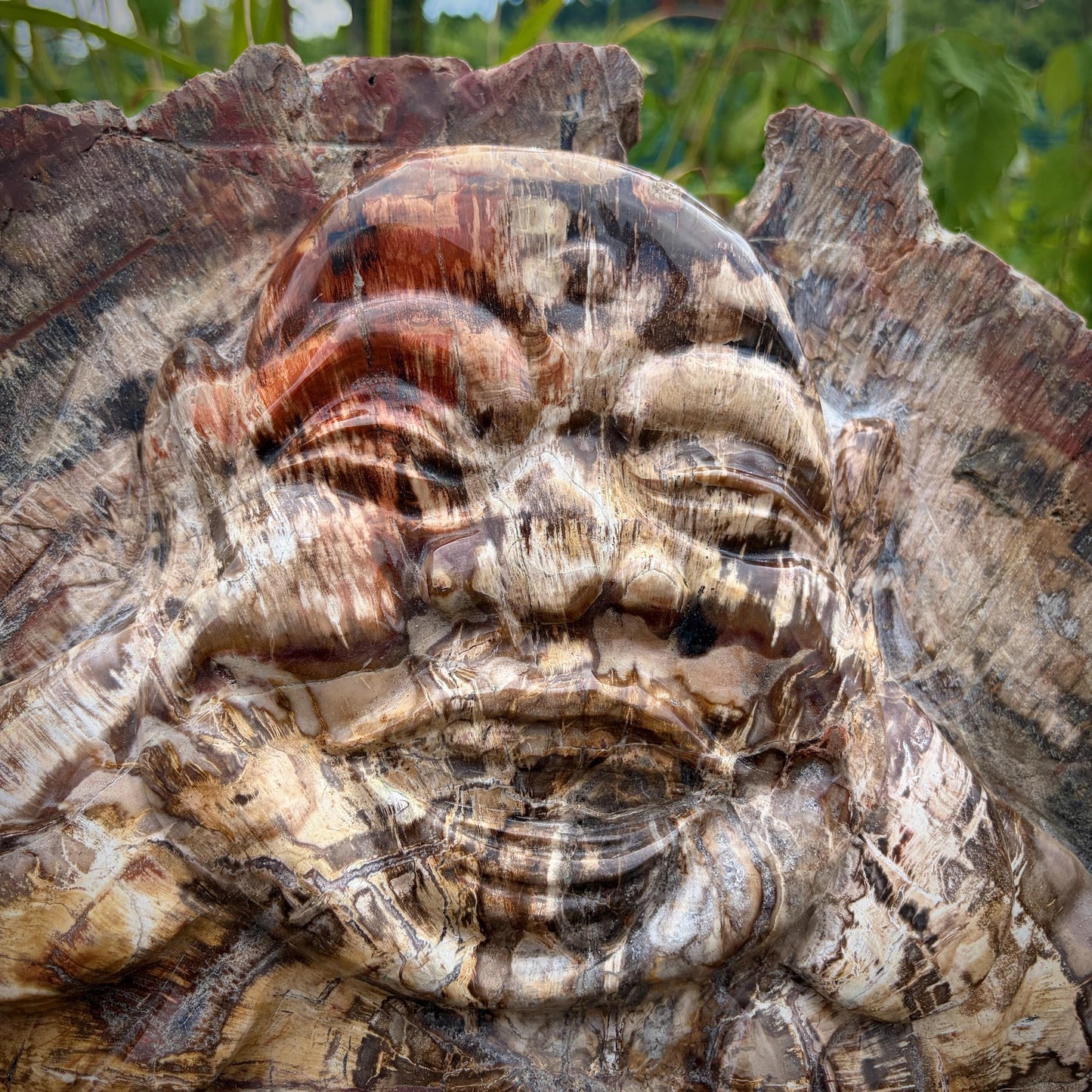 XXL Laughing Buddha Fossil Wood Slab | 52.6kg