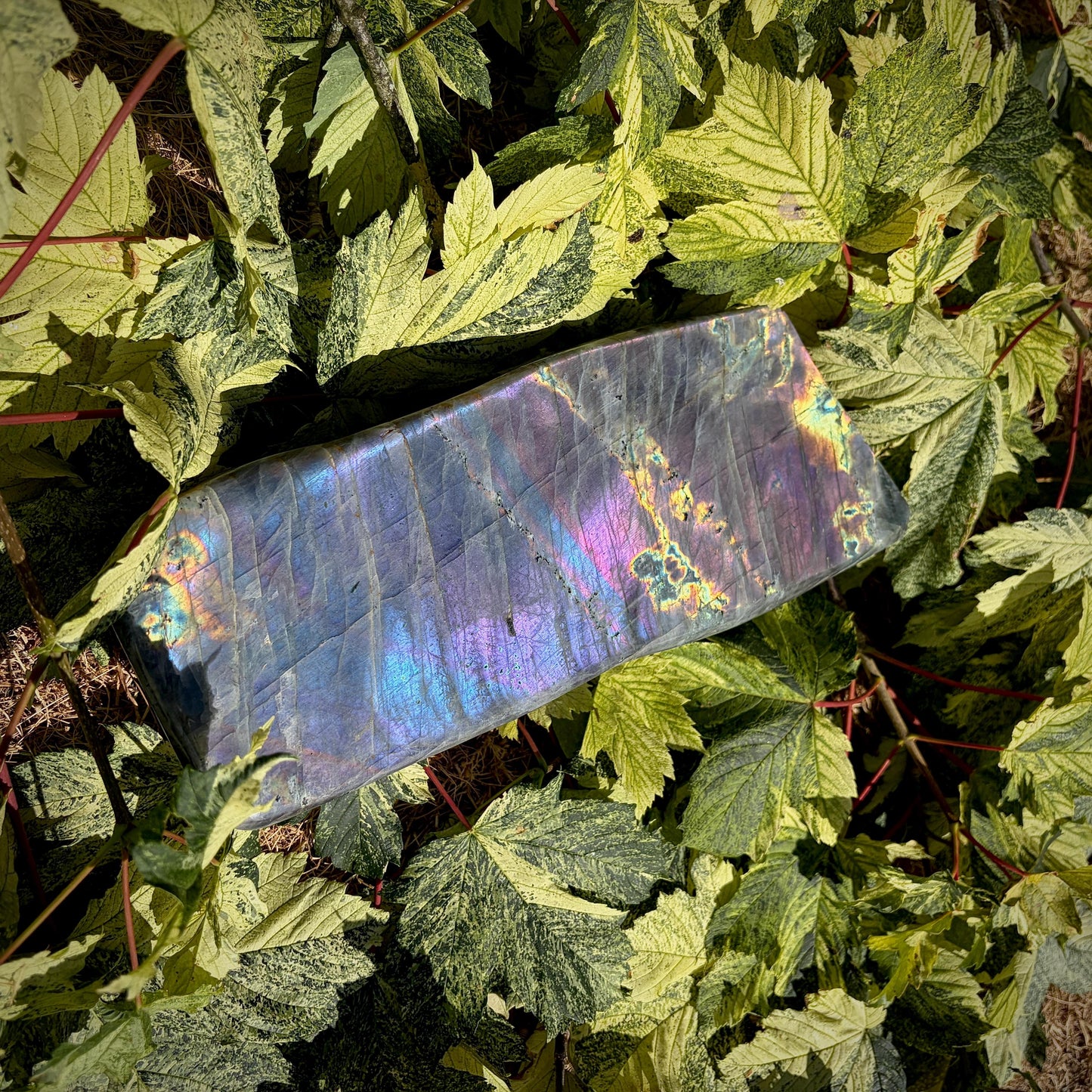 Large Purple Labradorite Crystal Freeform  | 8.1kg