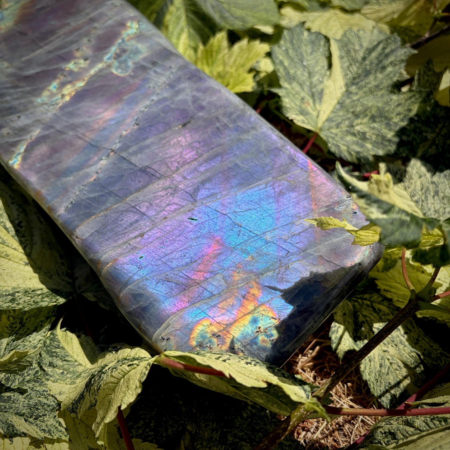 Large Purple Labradorite Crystal Freeform  | 8.1kg