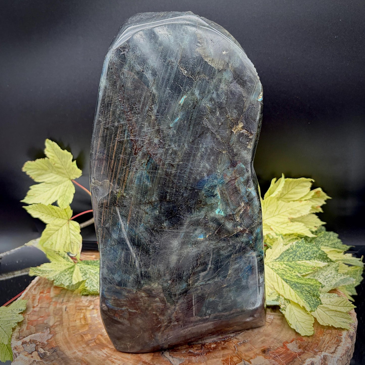Large Rainbow Labradorite Parrot Crystal Freeform  | 8.1kg