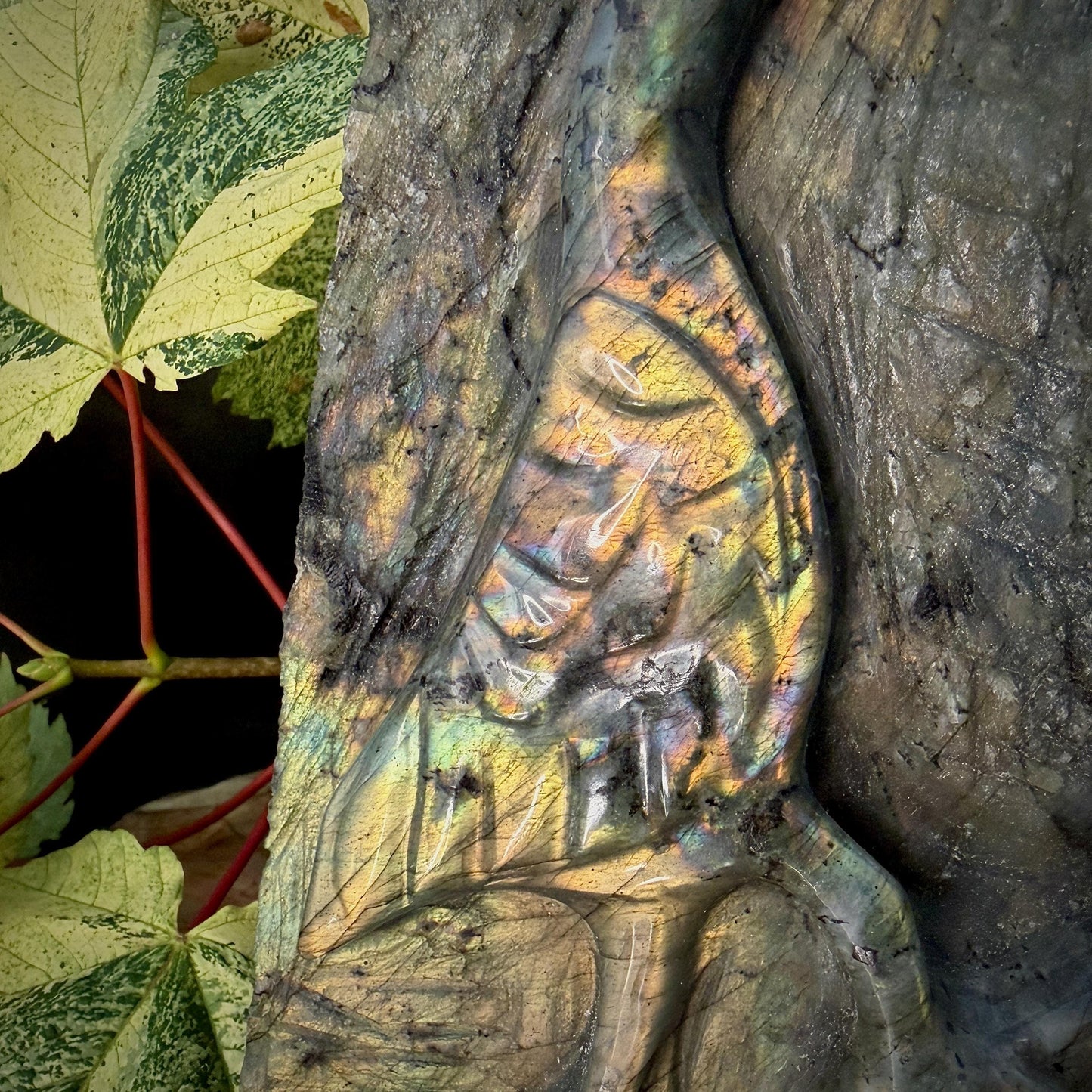 Labradorite Heron Bird Crystal Carving  | 2.7kg