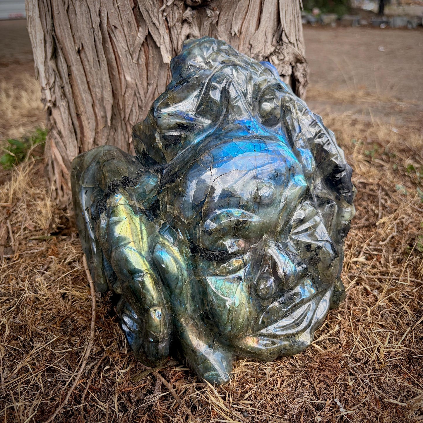 XL Labradorite Buddha Crystal Carving  | 8kg