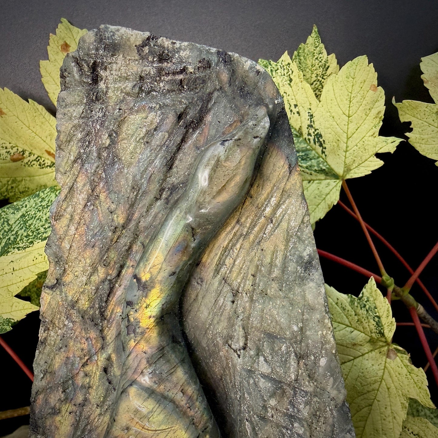 Labradorite Heron Bird Crystal Carving  | 2.7kg