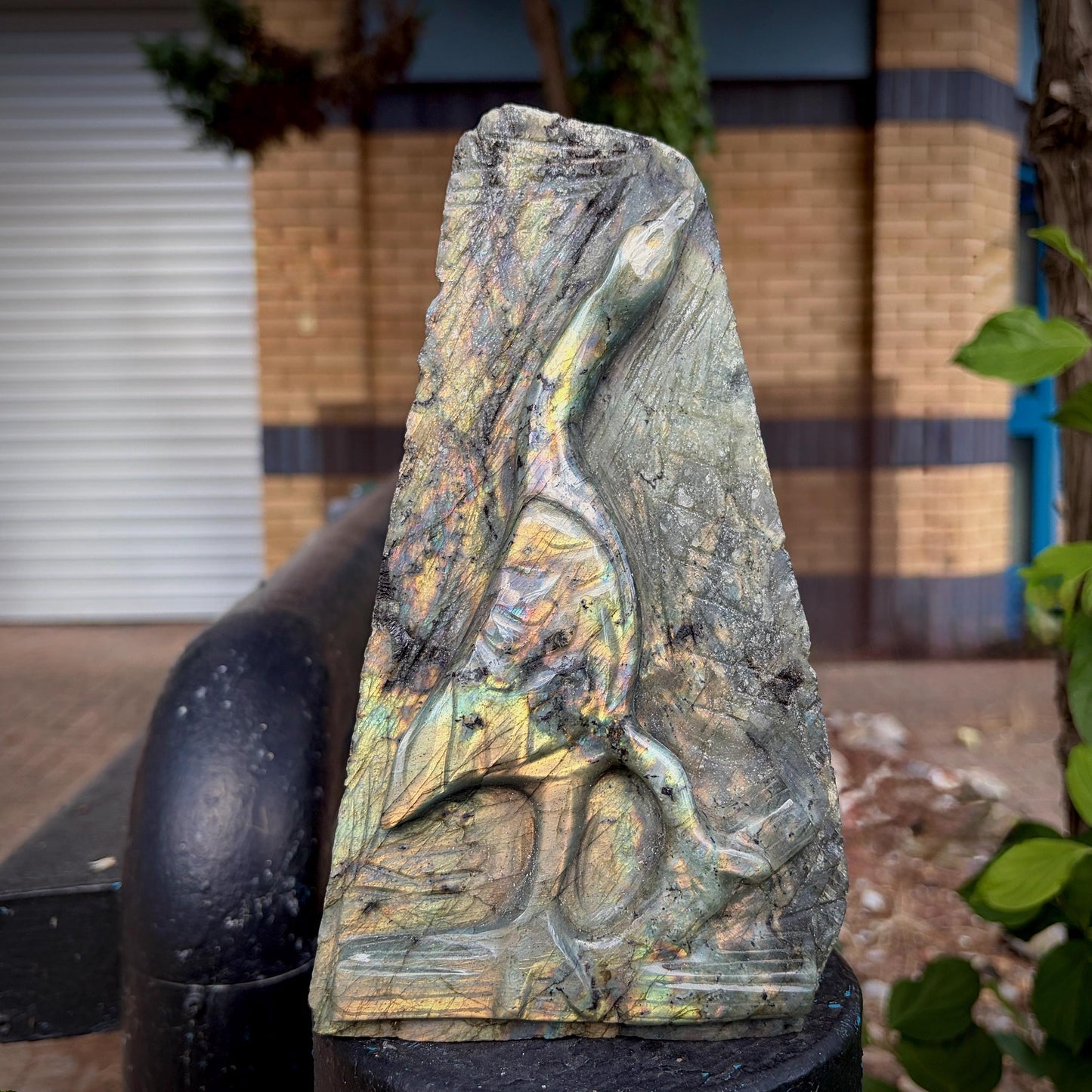 Labradorite Heron Bird Crystal Carving  | 2.7kg