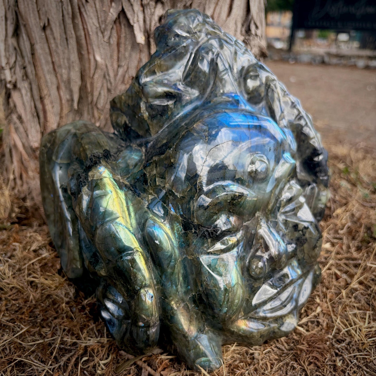 XL Labradorite Buddha Crystal Carving  | 8kg