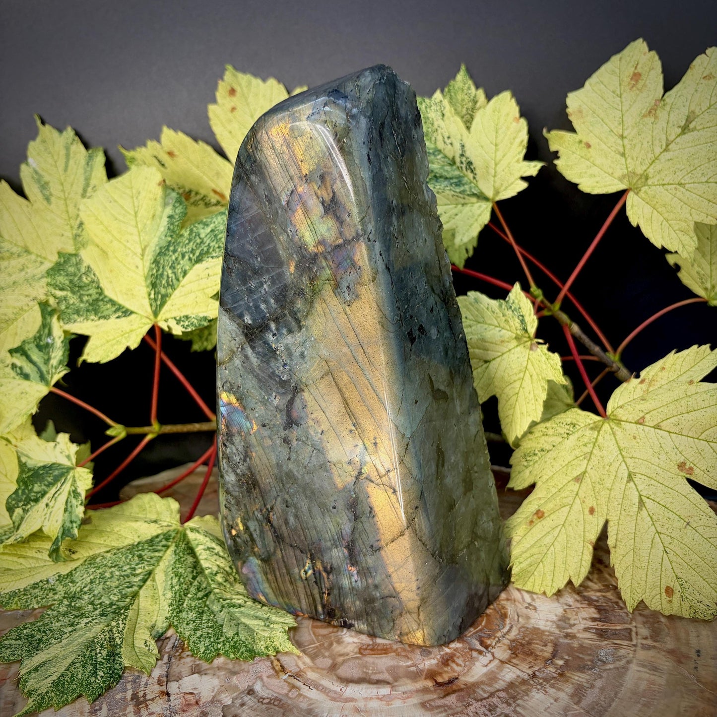 Labradorite Heron Bird Crystal Carving  | 2.7kg