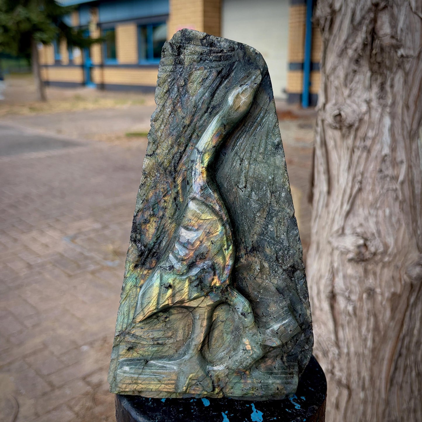 Labradorite Heron Bird Crystal Carving  | 2.7kg