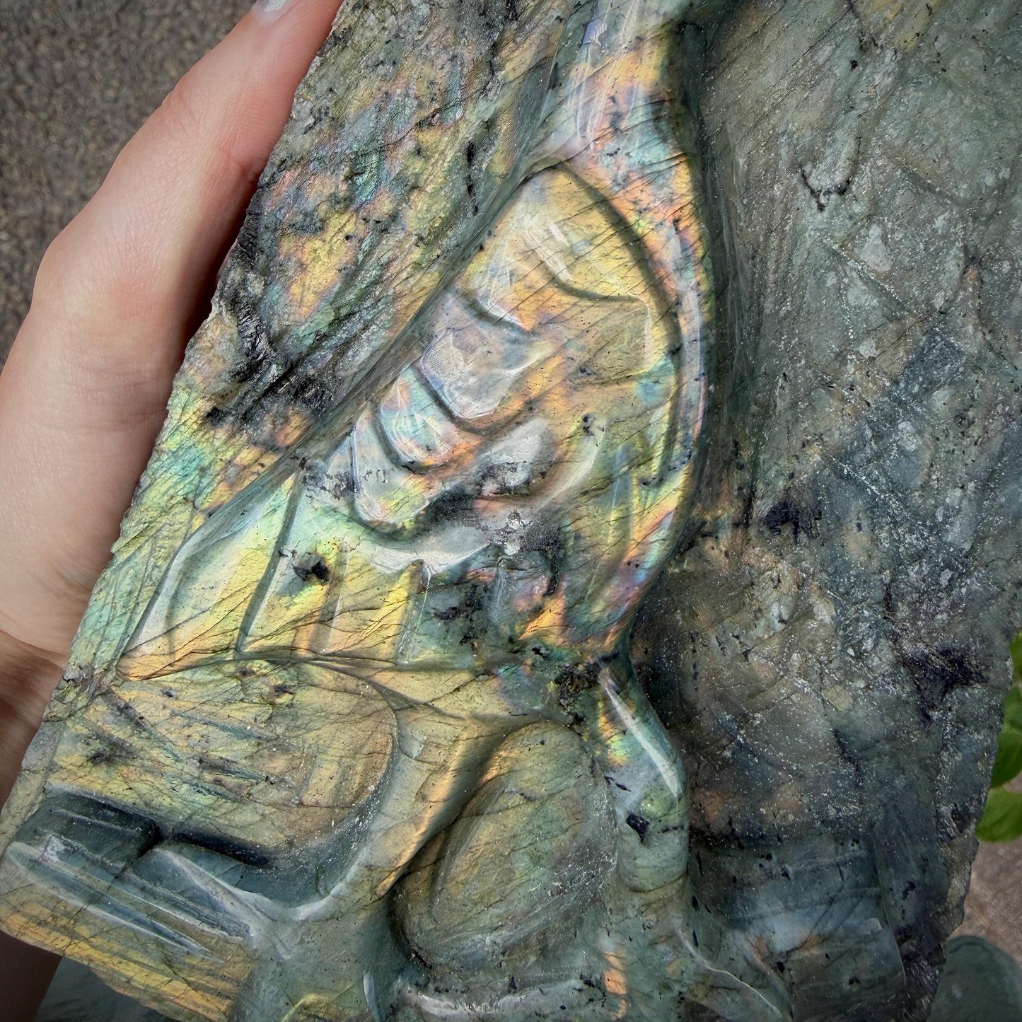Labradorite Heron Bird Crystal Carving  | 2.7kg