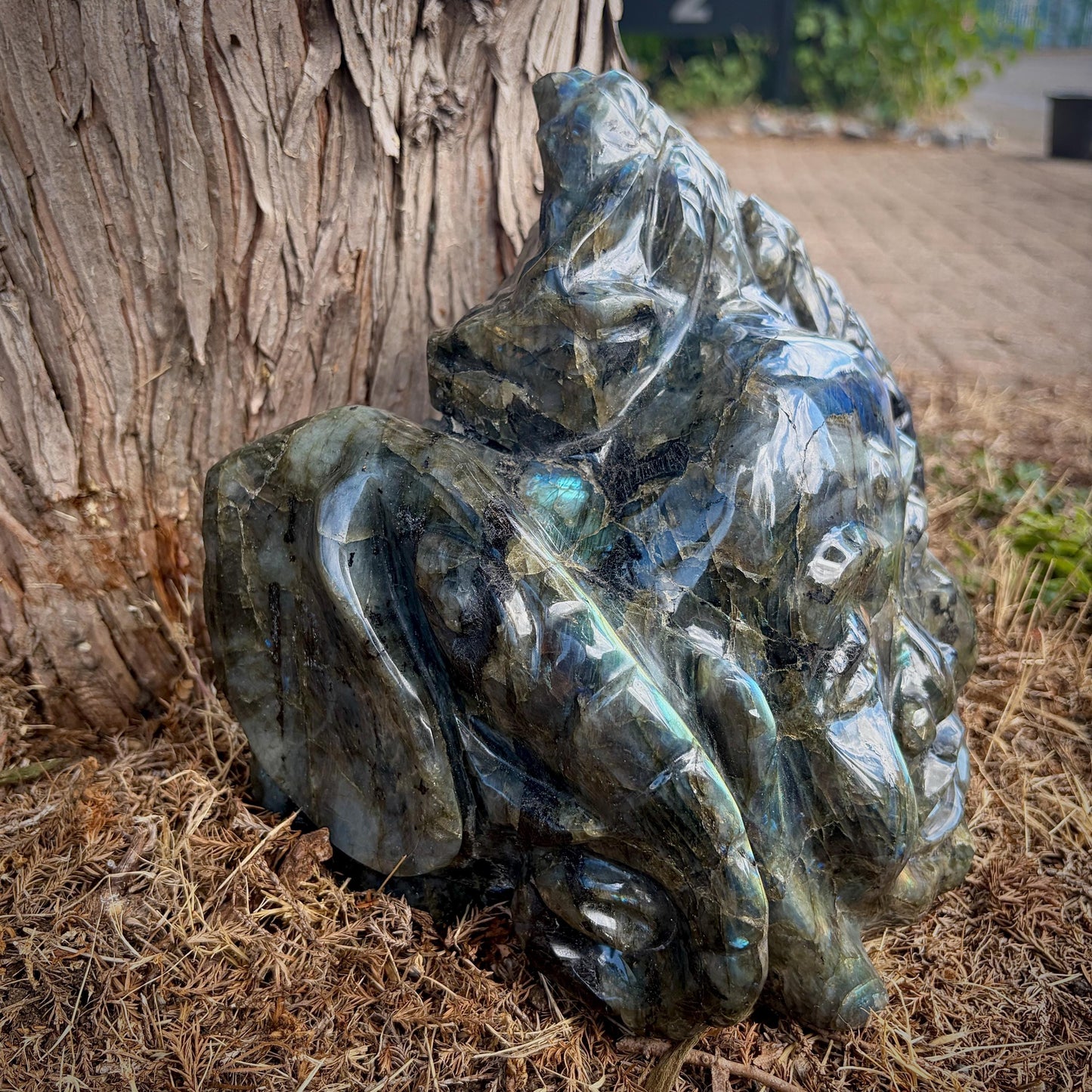 XL Labradorite Buddha Crystal Carving  | 8kg