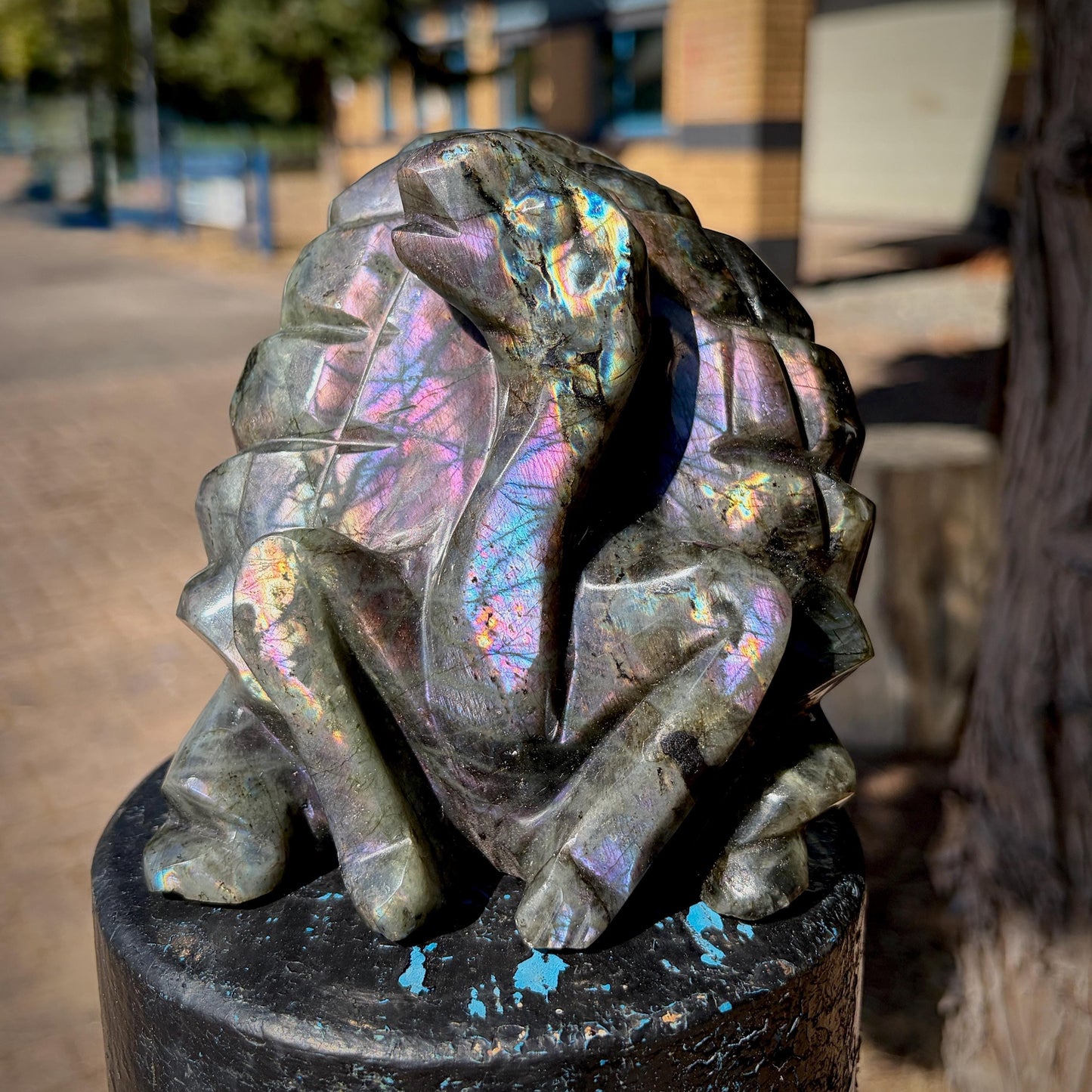 Purple Labradorite Turtle Crystal Carving  | 1.24kg