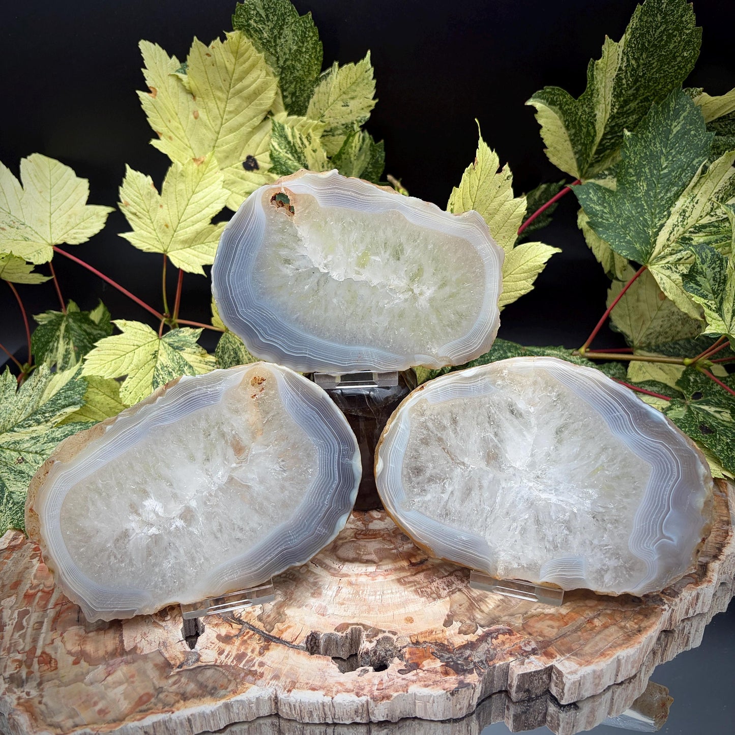 Agate Crystal Slice Set of 3 | Natural Banded  | Crystal Home Decor |  1.4kg #15