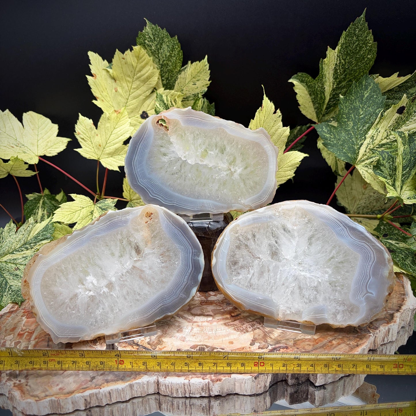 Agate Crystal Slice Set of 3 | Natural Banded  | Crystal Home Decor |  1.4kg #15