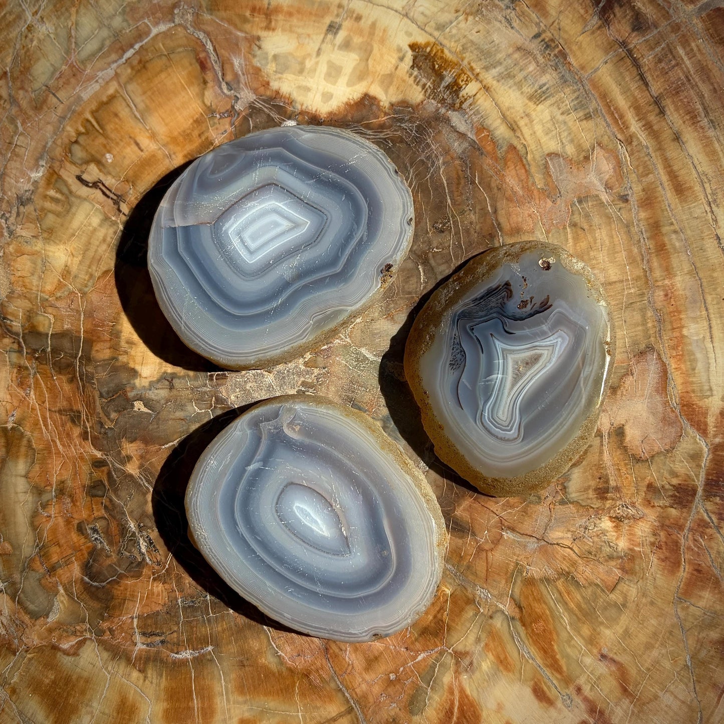 Agate Crystal Slice Set of 3 | Natural Banded  | Crystal Home Decor |  298g #16