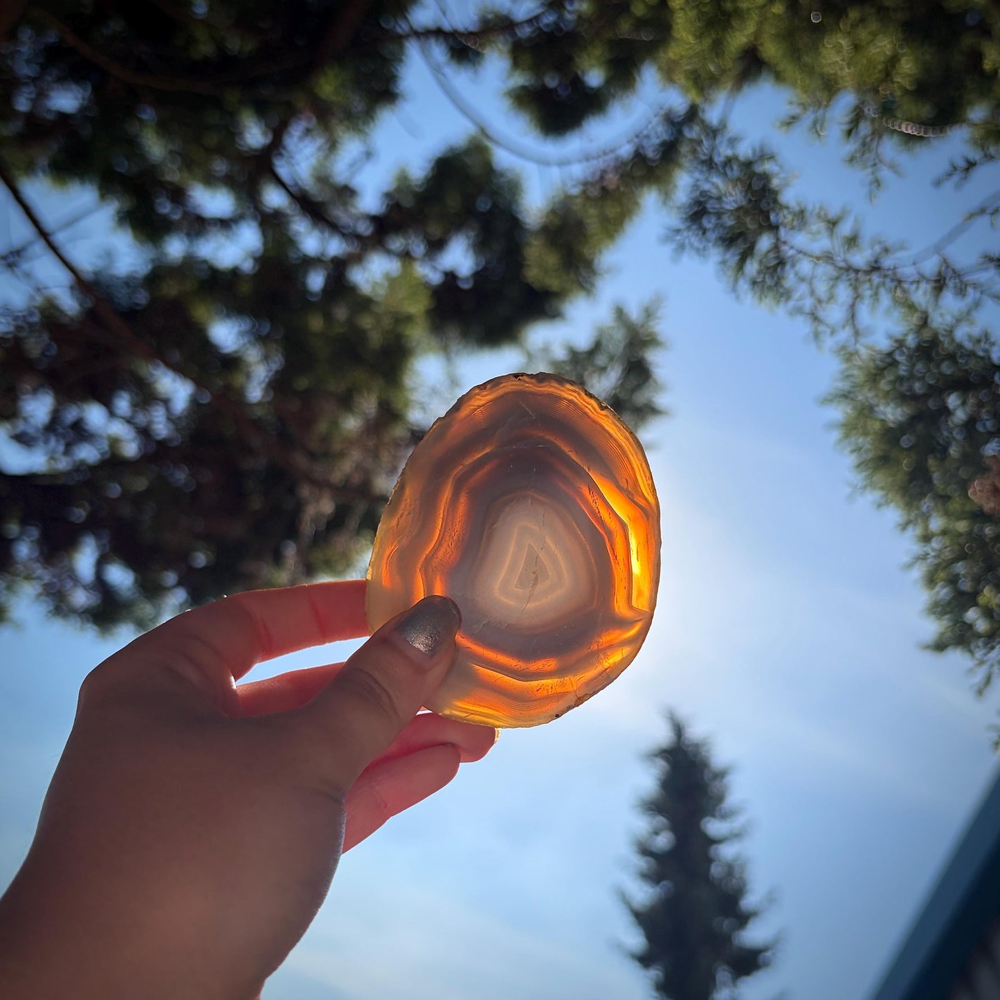 Agate Crystal Slice Set of 3 | Natural Banded  | Crystal Home Decor |  298g #16