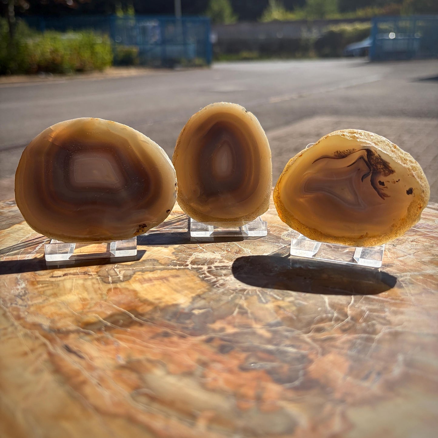 Agate Crystal Slice Set of 3 | Natural Banded  | Crystal Home Decor |  298g #16