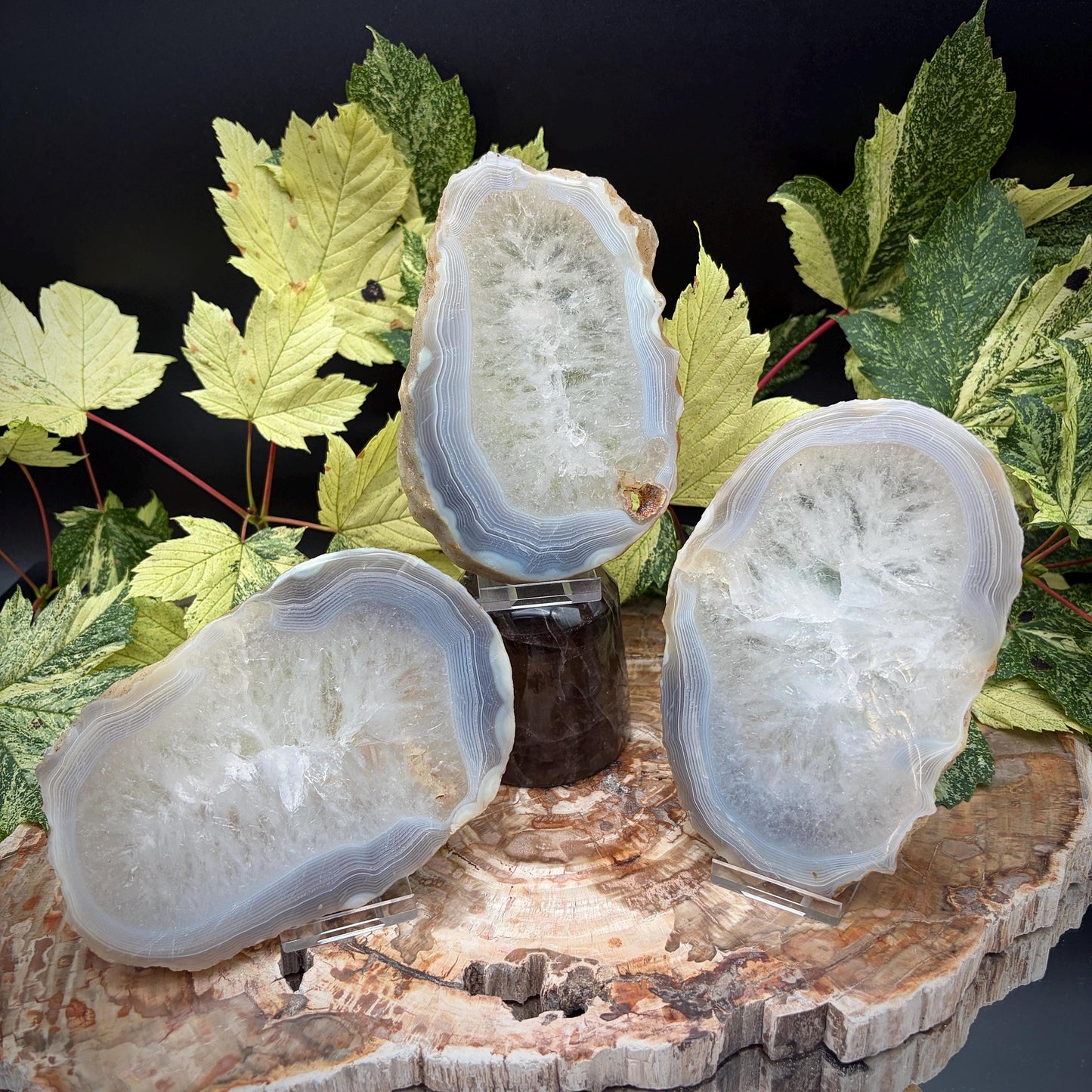 Agate Crystal Slice Set of 3 | Natural Banded  | Crystal Home Decor |  1.4kg #15