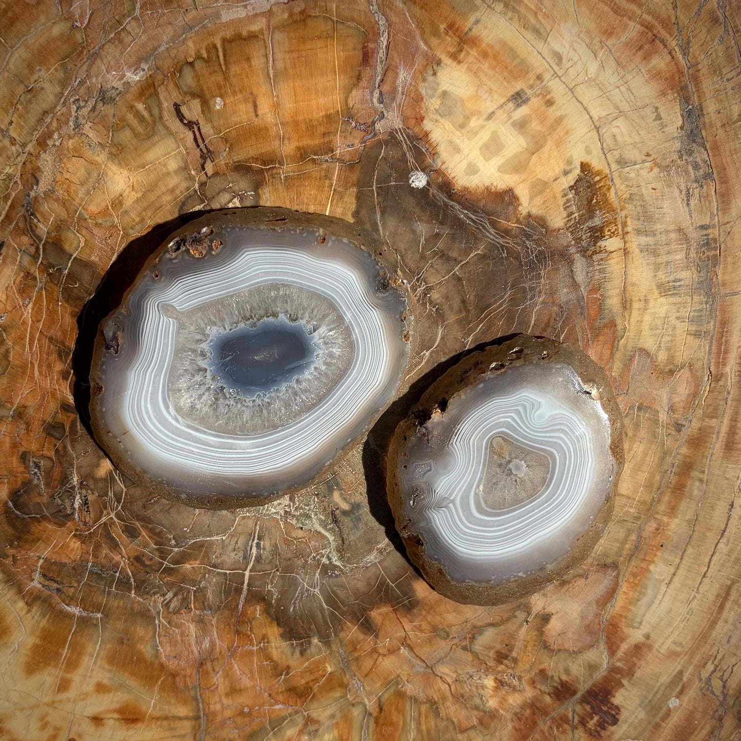 Agate Crystal Slice Set of 2 | Natural Banded  | Crystal Home Decor |  251g #14