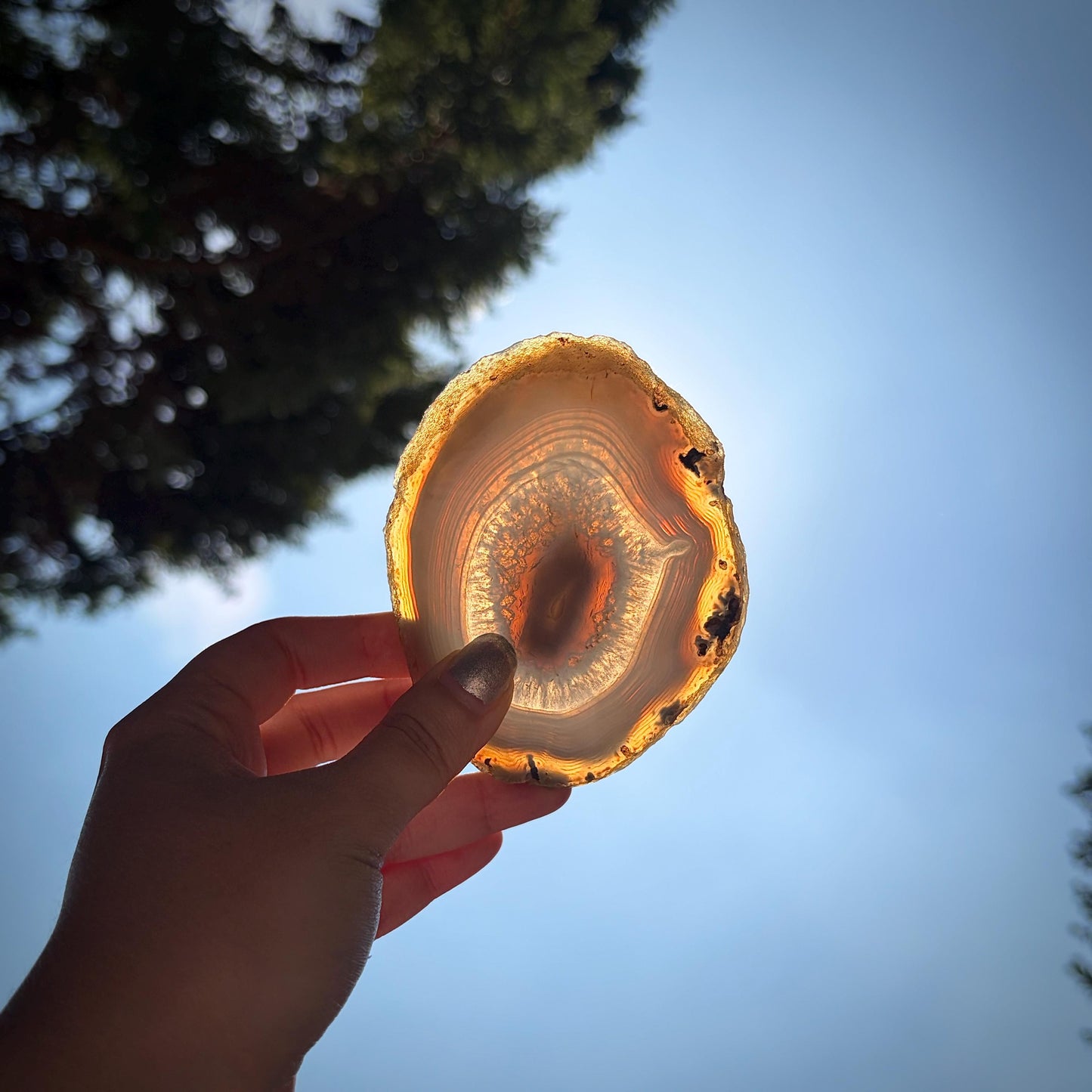 Agate Crystal Slice Set of 2 | Natural Banded  | Crystal Home Decor |  251g #14