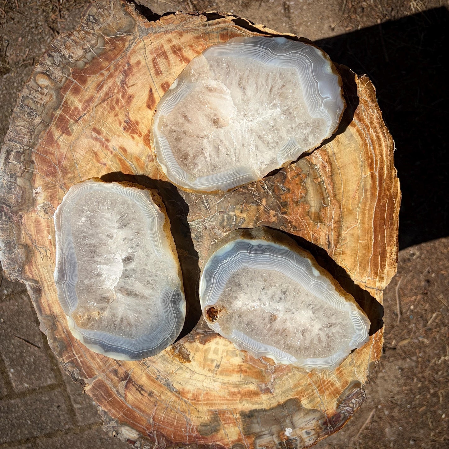 Agate Crystal Slice Set of 3 | Natural Banded  | Crystal Home Decor |  1.4kg #15