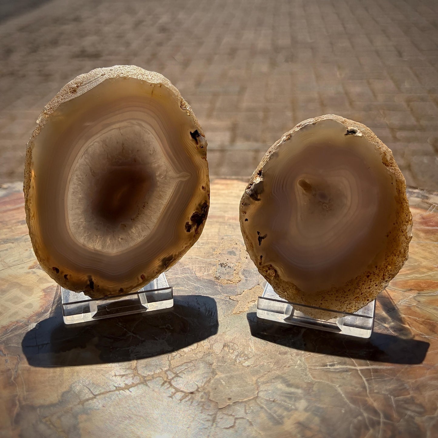 Agate Crystal Slice Set of 2 | Natural Banded  | Crystal Home Decor |  251g #14