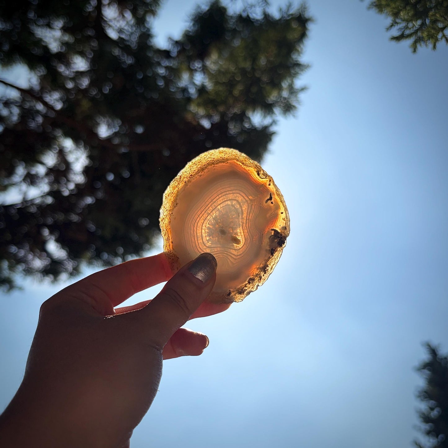 Agate Crystal Slice Set of 2 | Natural Banded  | Crystal Home Decor |  251g #14