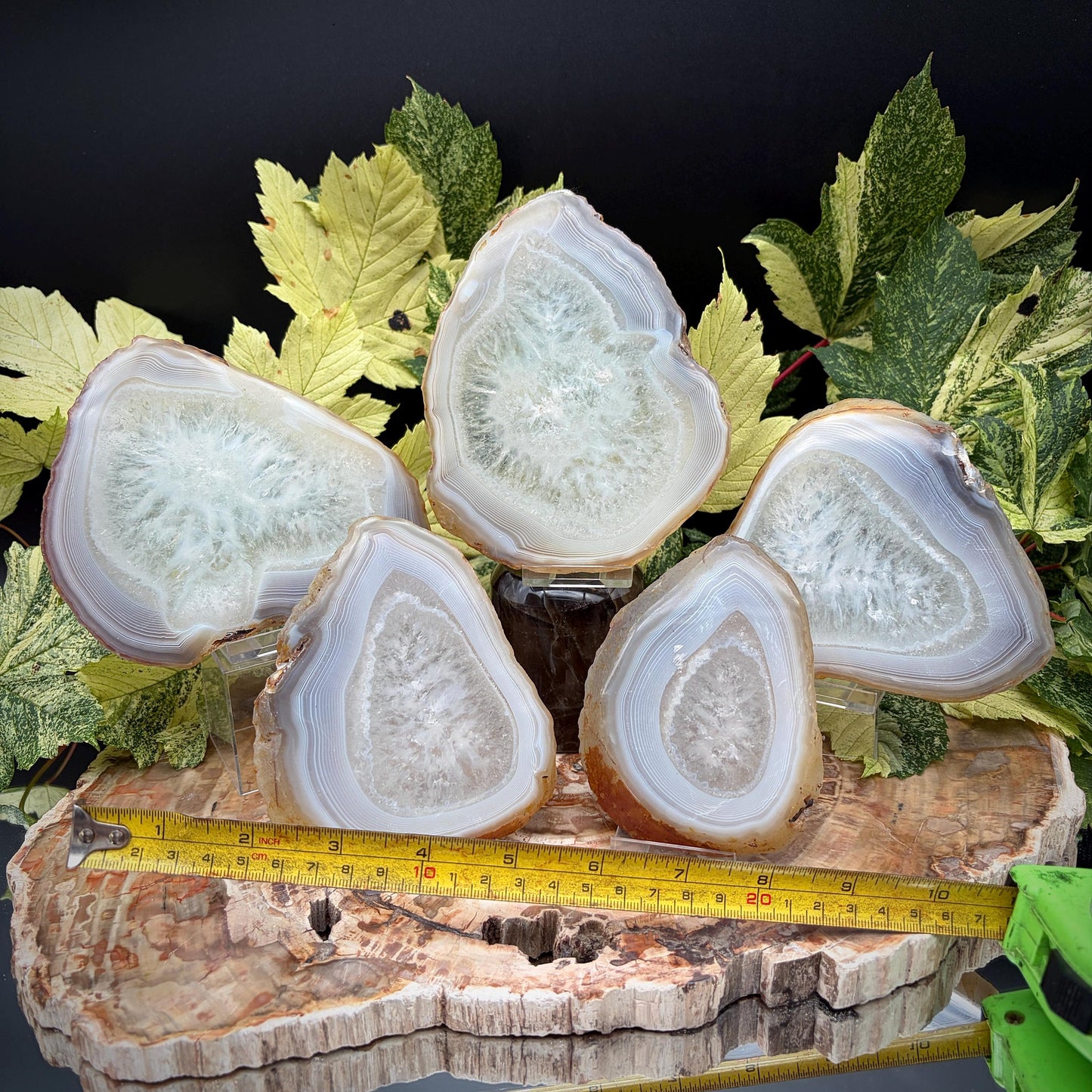 Agate Crystal Slice Set of 5 | Natural Banded  | Crystal Home Decor |  1.6kg #13