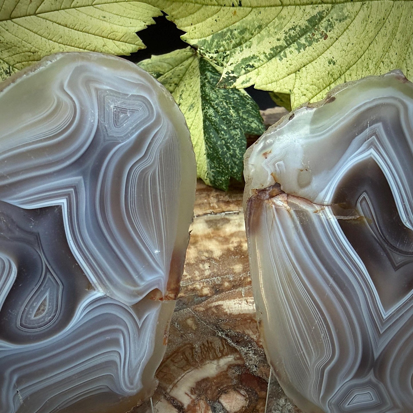 Agate Crystal Slice Set of 2 | Natural Banded  | Crystal Home Decor |  188g #12
