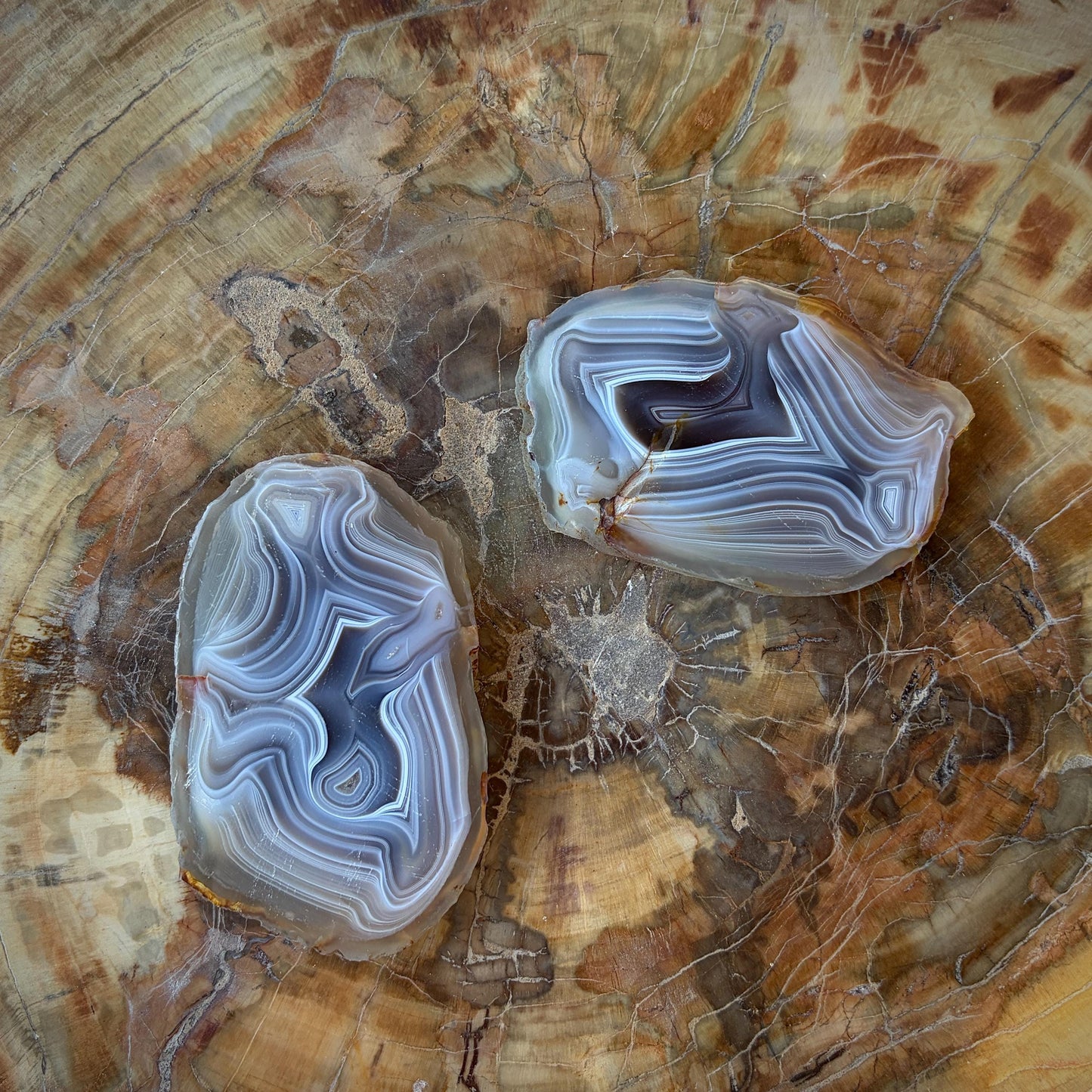 Agate Crystal Slice Set of 2 | Natural Banded  | Crystal Home Decor |  188g #12
