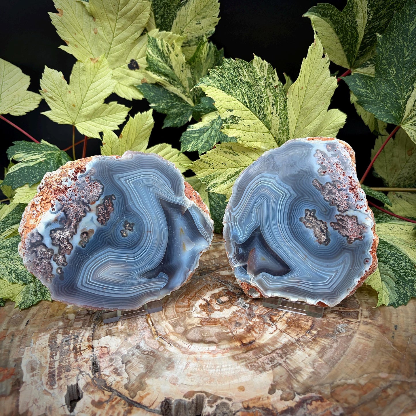 Agate Crystal Slice Set of 2 | Natural Banded  | Crystal Home Decor |  833g #11