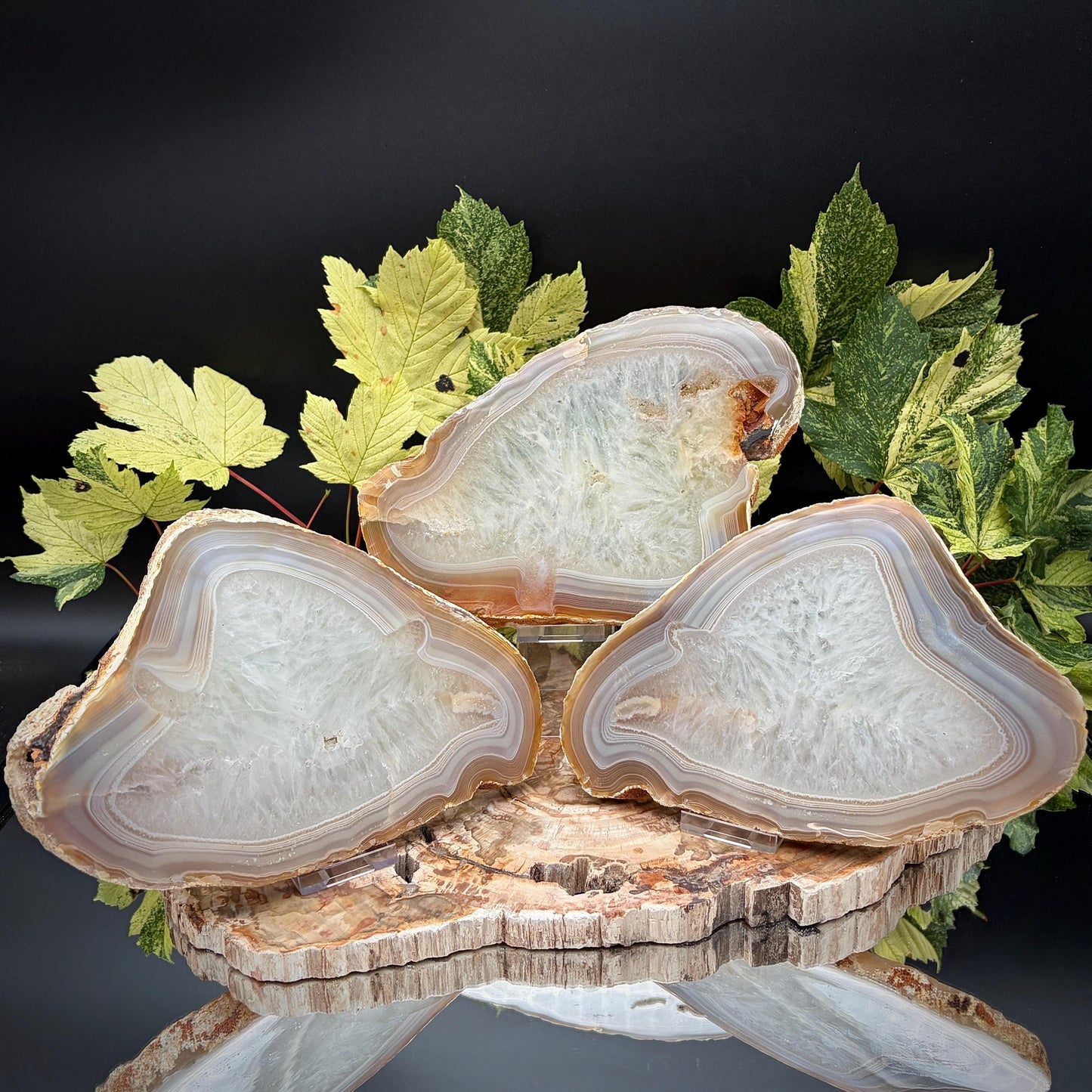 Agate Crystal Slice Set of 3 | Natural Banded  | Crystal Home Decor |  2.3kg #10