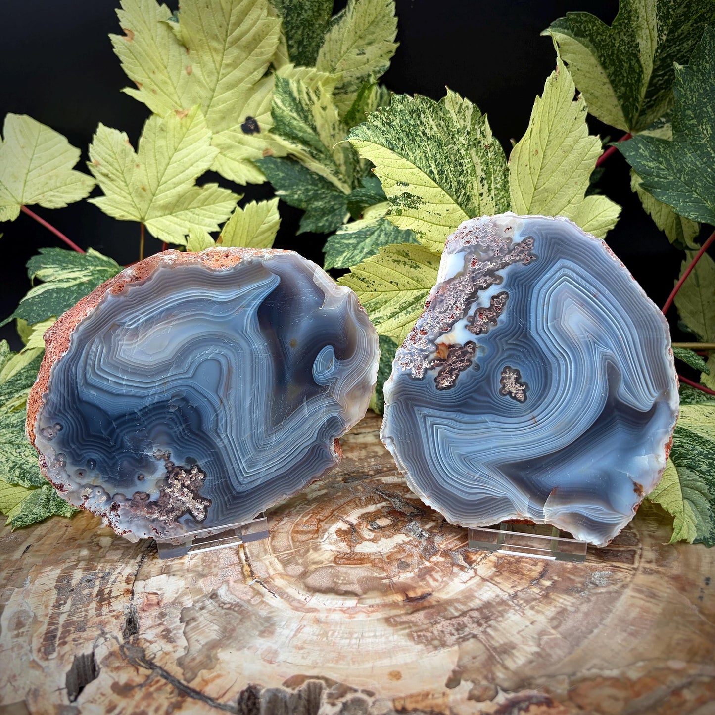 Agate Crystal Slice Set of 2 | Natural Banded  | Crystal Home Decor |  833g #11