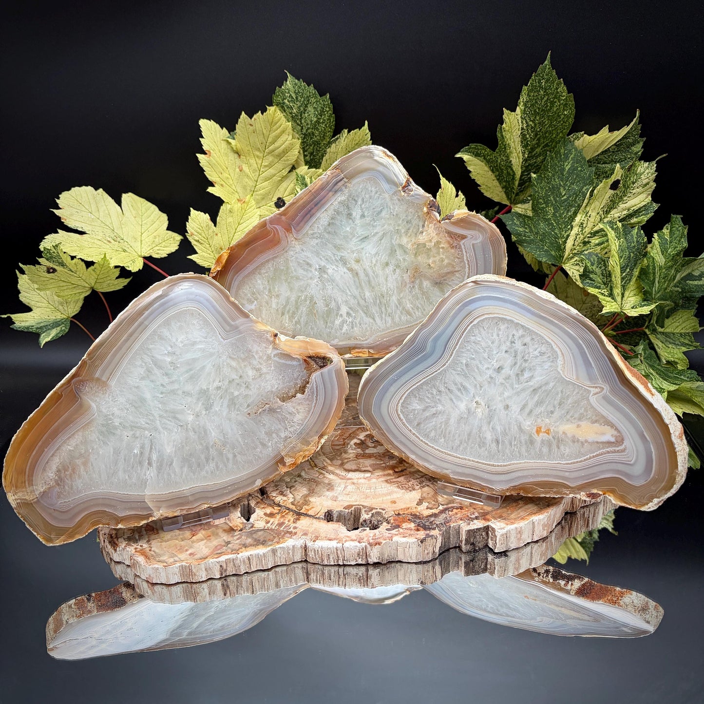 Agate Crystal Slice Set of 3 | Natural Banded  | Crystal Home Decor |  2.3kg #10