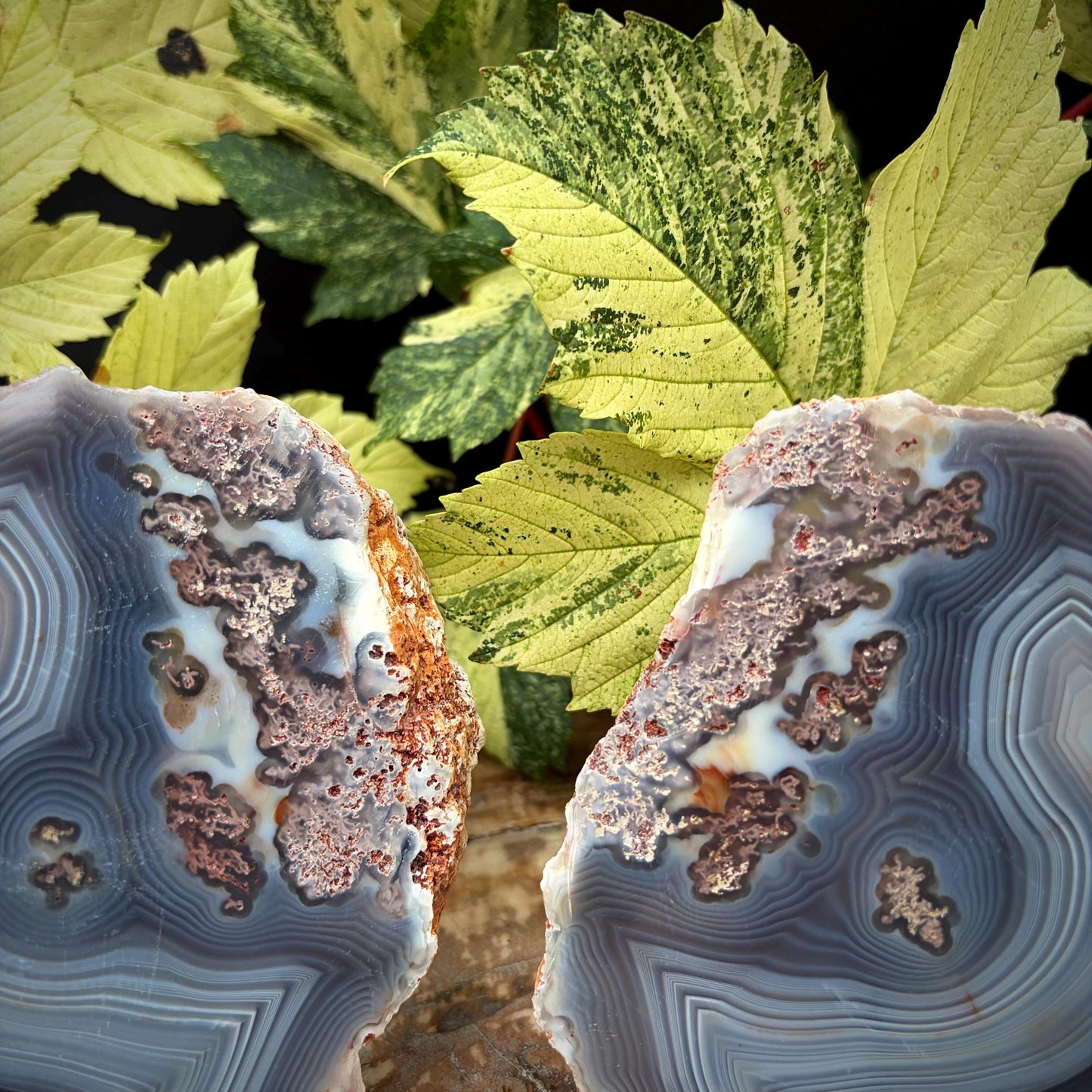 Agate Crystal Slice Set of 2 | Natural Banded  | Crystal Home Decor |  833g #11