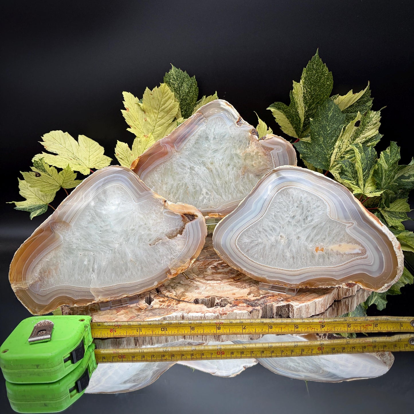 Agate Crystal Slice Set of 3 | Natural Banded  | Crystal Home Decor |  2.3kg #10