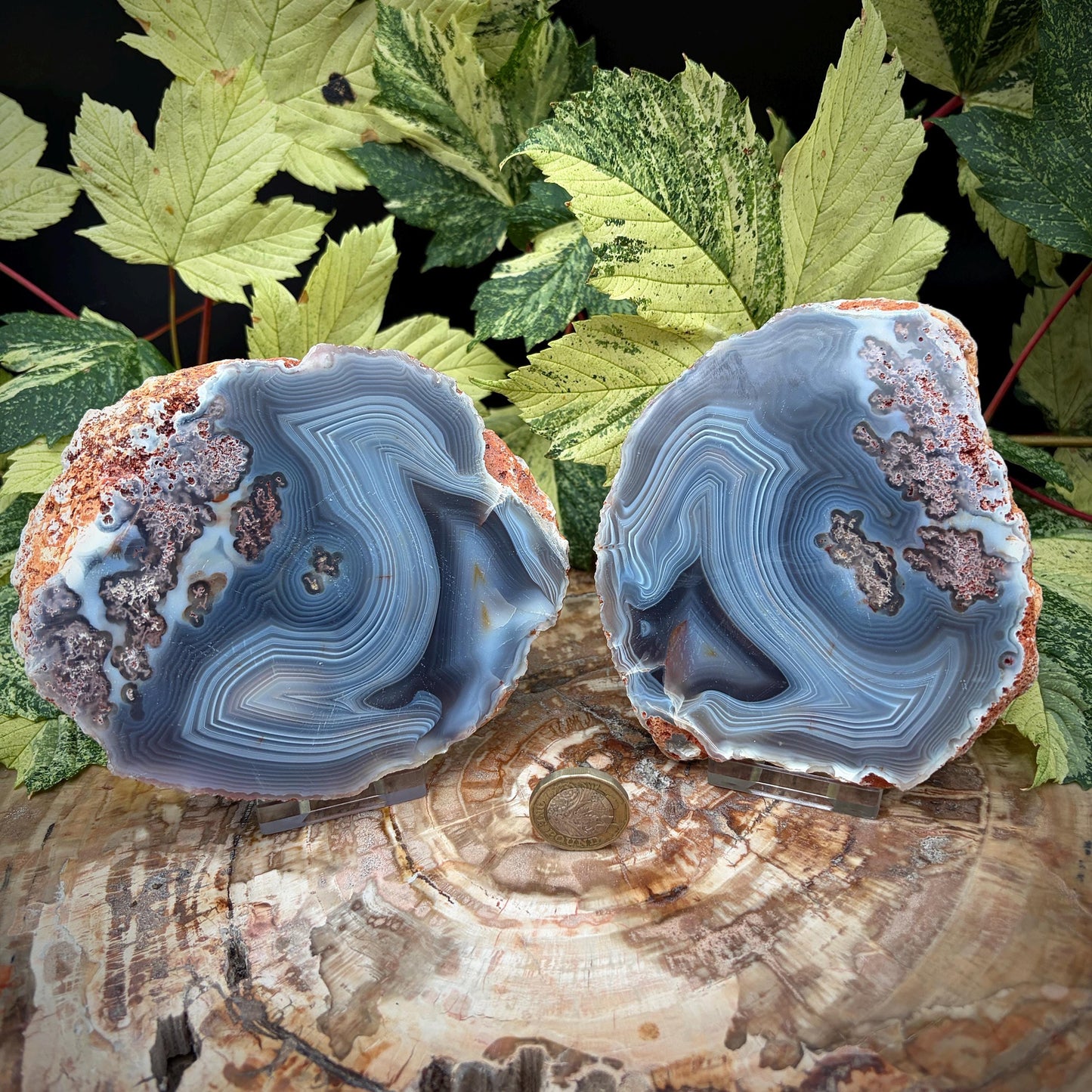 Agate Crystal Slice Set of 2 | Natural Banded  | Crystal Home Decor |  833g #11