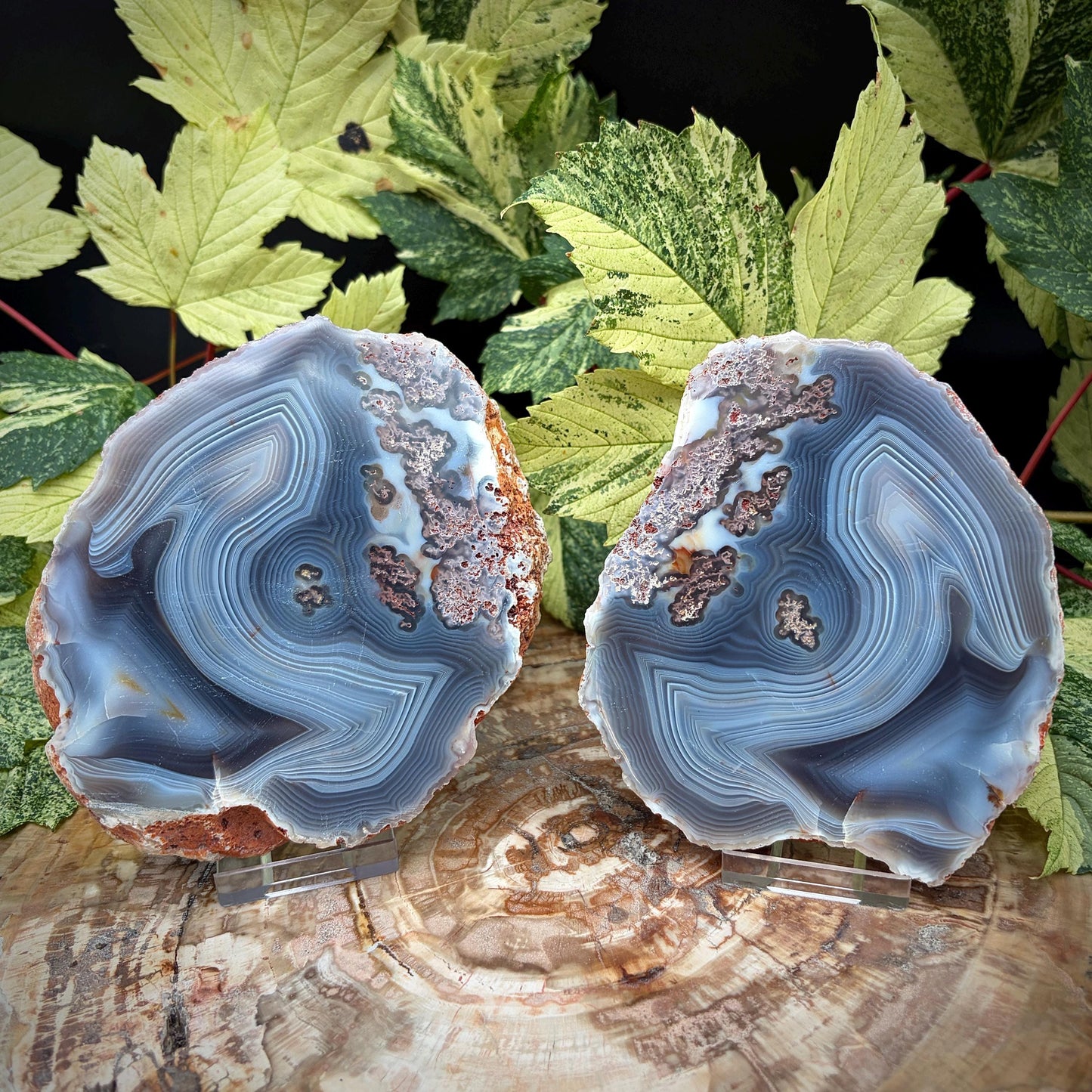 Agate Crystal Slice Set of 2 | Natural Banded  | Crystal Home Decor |  833g #11