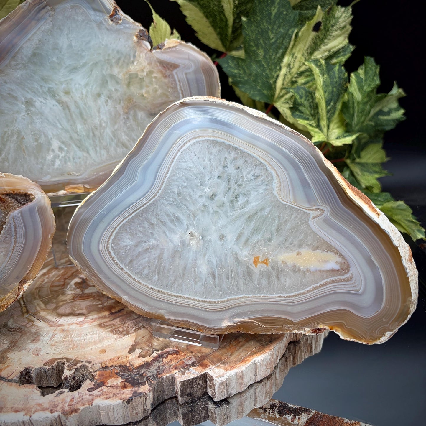 Agate Crystal Slice Set of 3 | Natural Banded  | Crystal Home Decor |  2.3kg #10
