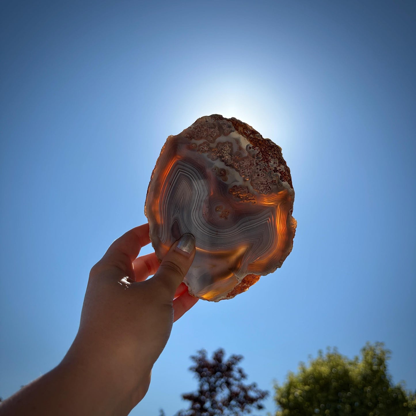 Agate Crystal Slice Set of 2 | Natural Banded  | Crystal Home Decor |  833g #11